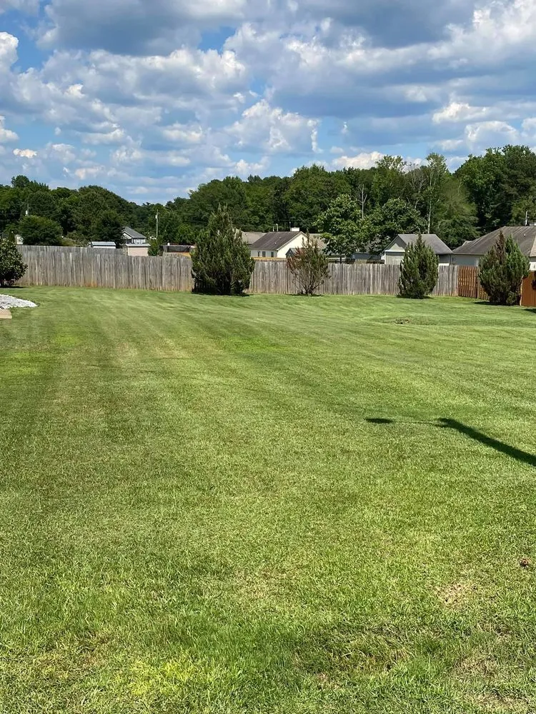 Local landscaping services in Auburn, AL by Young Kings