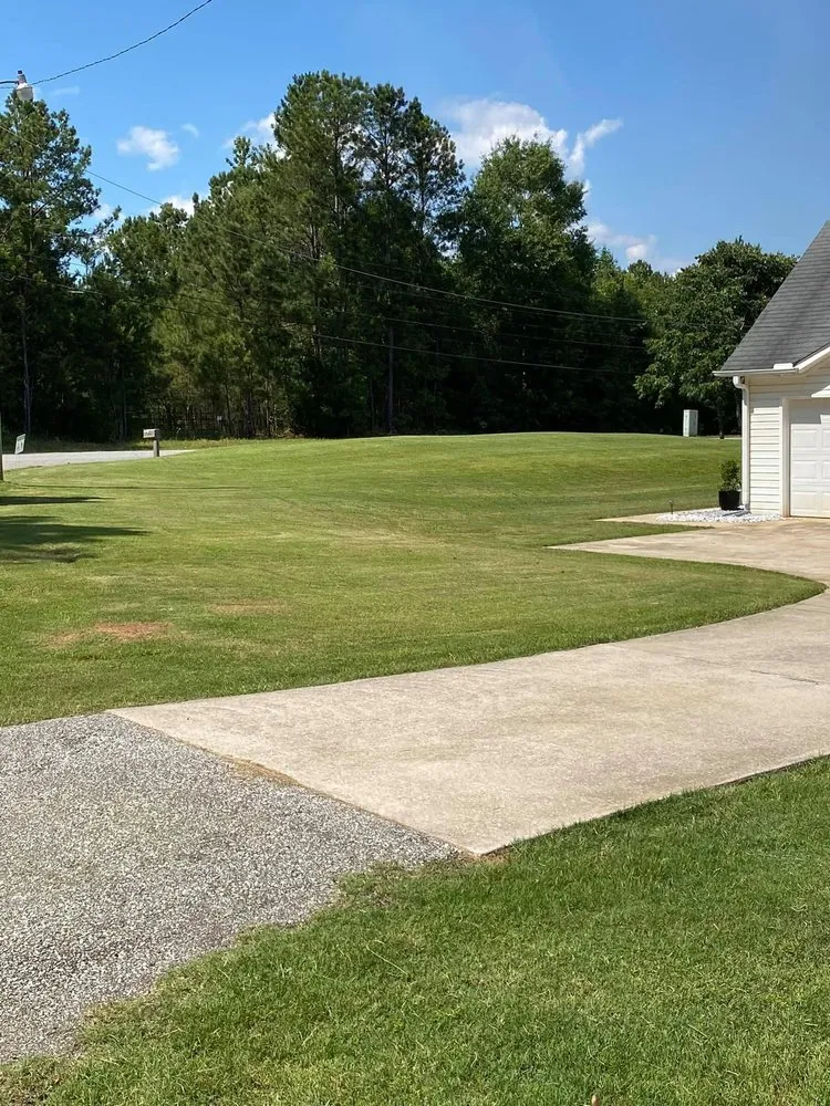 Professional lawn care service for residential properties across Auburn, AL - Young Kings