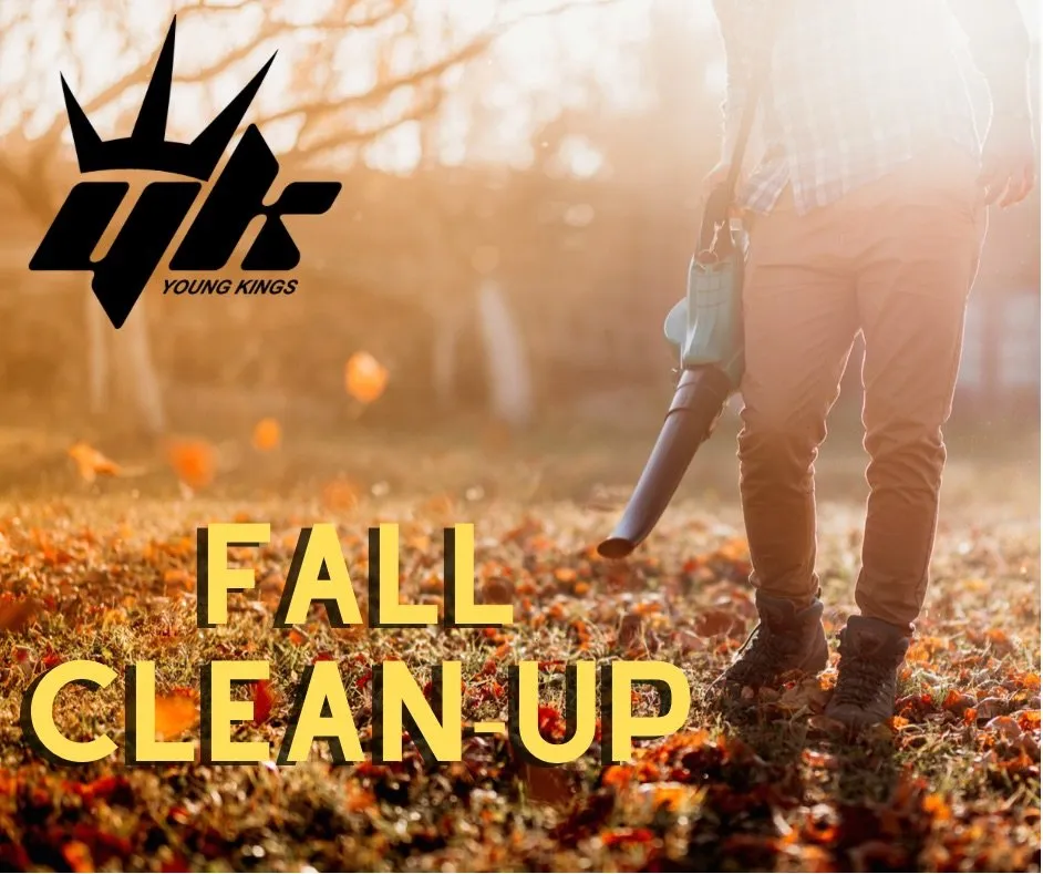 Affordable landscape design with custom design across Auburn, AL - Young Kings