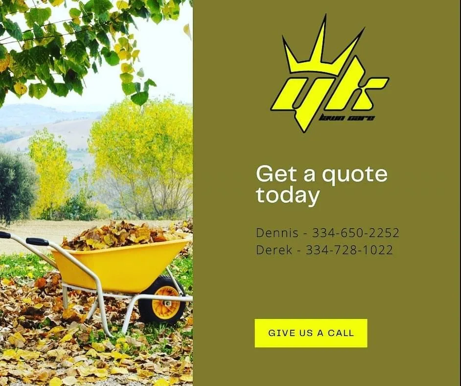 Expert landscaping services in Auburn, AL - Young Kings