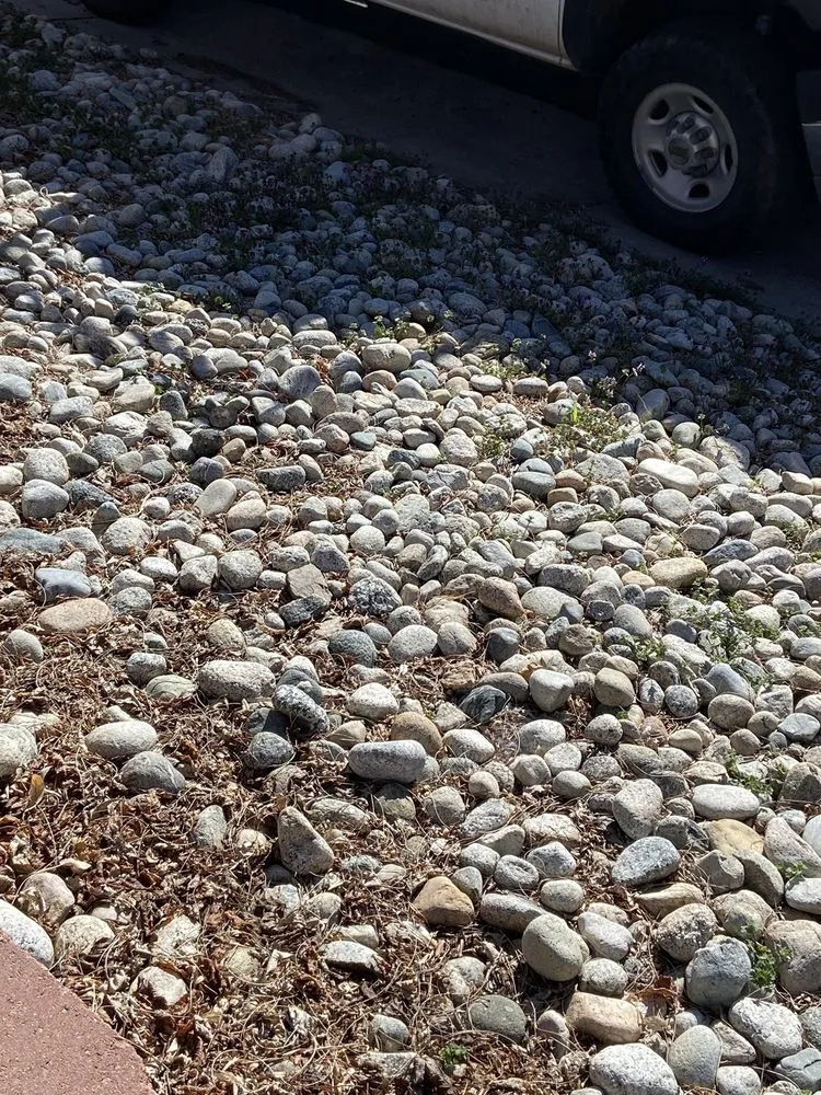 Affordable landscape design in Denver, CO by Young Landscaping