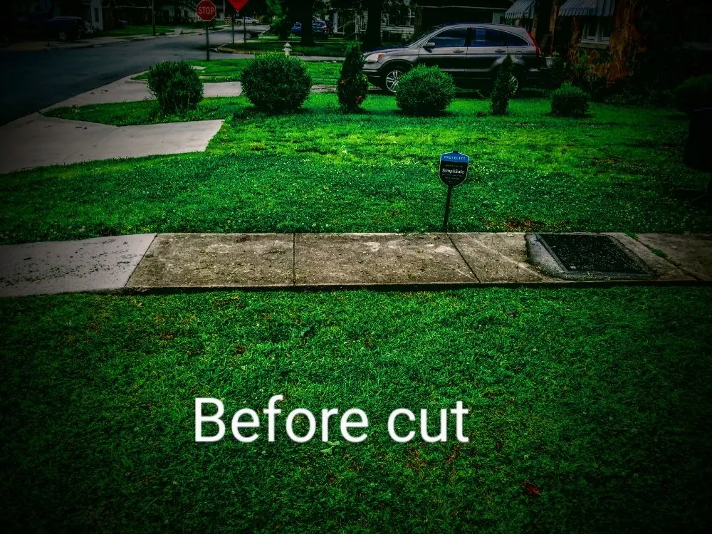 Expert lawn care service with custom design across North Little Rock, AR - Young Man Detail Lawn Care Service