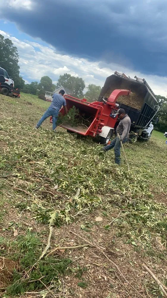 Expert landscaping services for year-round maintenance across Rixeyville, VA - Young Man Land Service