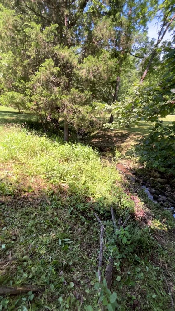 Trusted landscape design for outdoor upgrades across Rixeyville, VA - Young Man Land Service