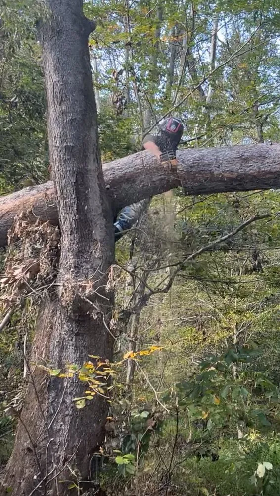 Local landscape installation in Rixeyville, VA - Young Man Land Service