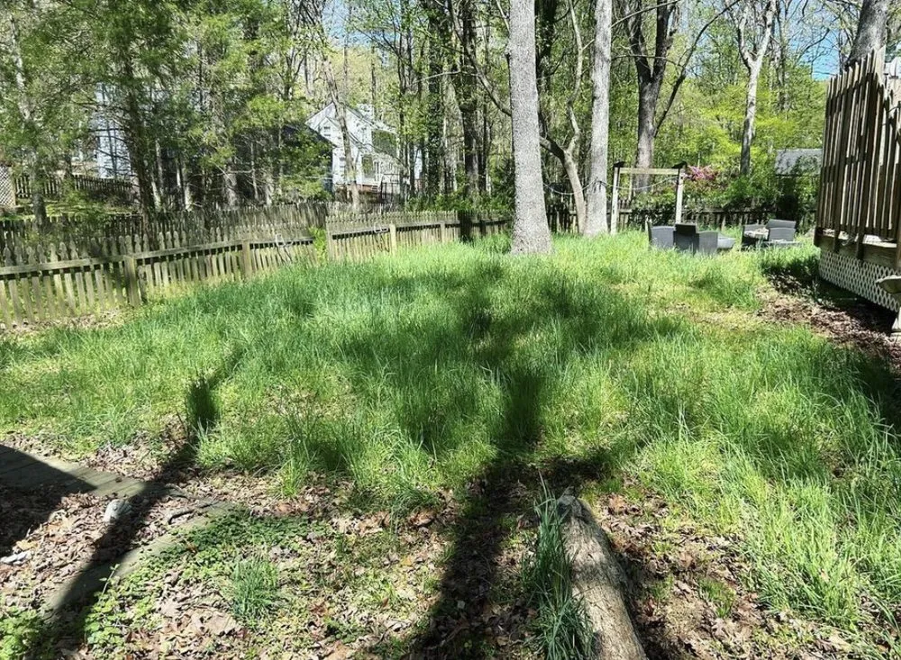 Expert outdoor landscaping for residential properties in Chester, VA by Young Man's Lawn Care