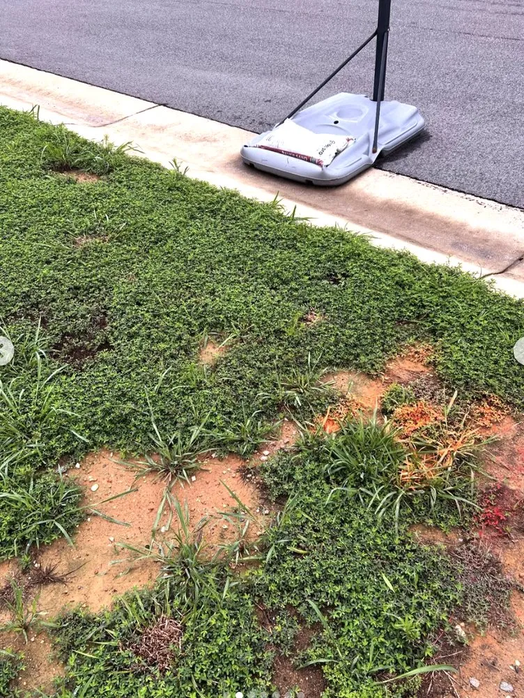 Professional landscape installation for beautiful yards in Chester, VA by Young Man's Lawn Care