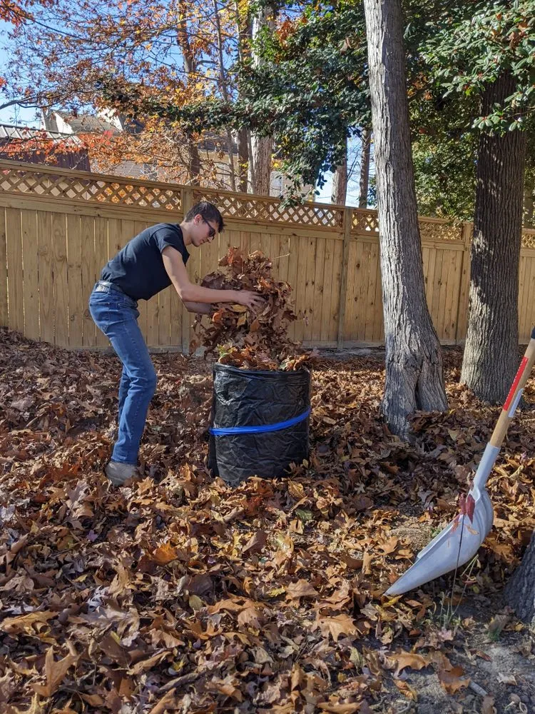 Professional garden landscaping in Chester, VA by Young Man's Lawn Care