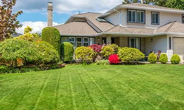 Trusted yard maintenance in Killeen, TX - Young Opportunities