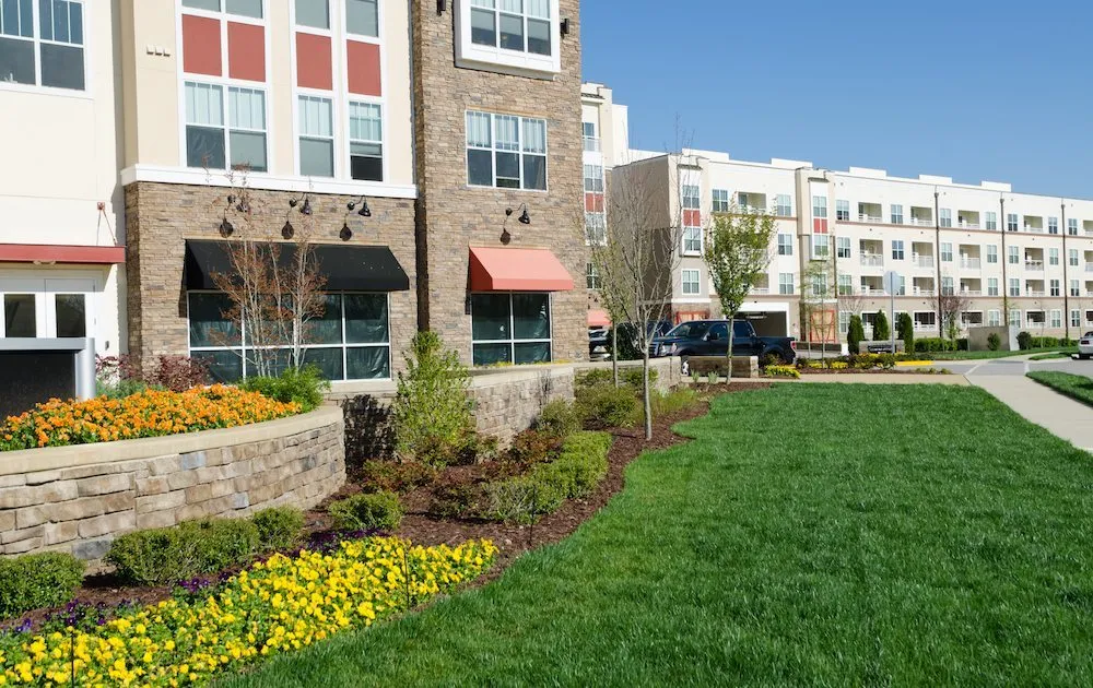 Affordable landscaping services in Northglenn, CO by Young Outdoor Services