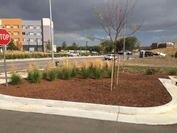 Reliable landscape installation experts serving Northglenn, CO - Young Outdoor Services