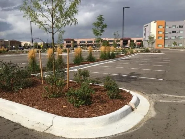 Reliable garden landscaping for year-round maintenance in Northglenn, CO by Young Outdoor Services