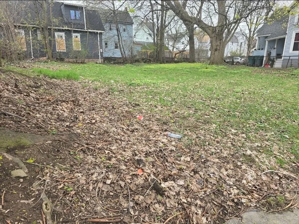 Expert landscape installation experts serving Rochester, NY - Young Property Management