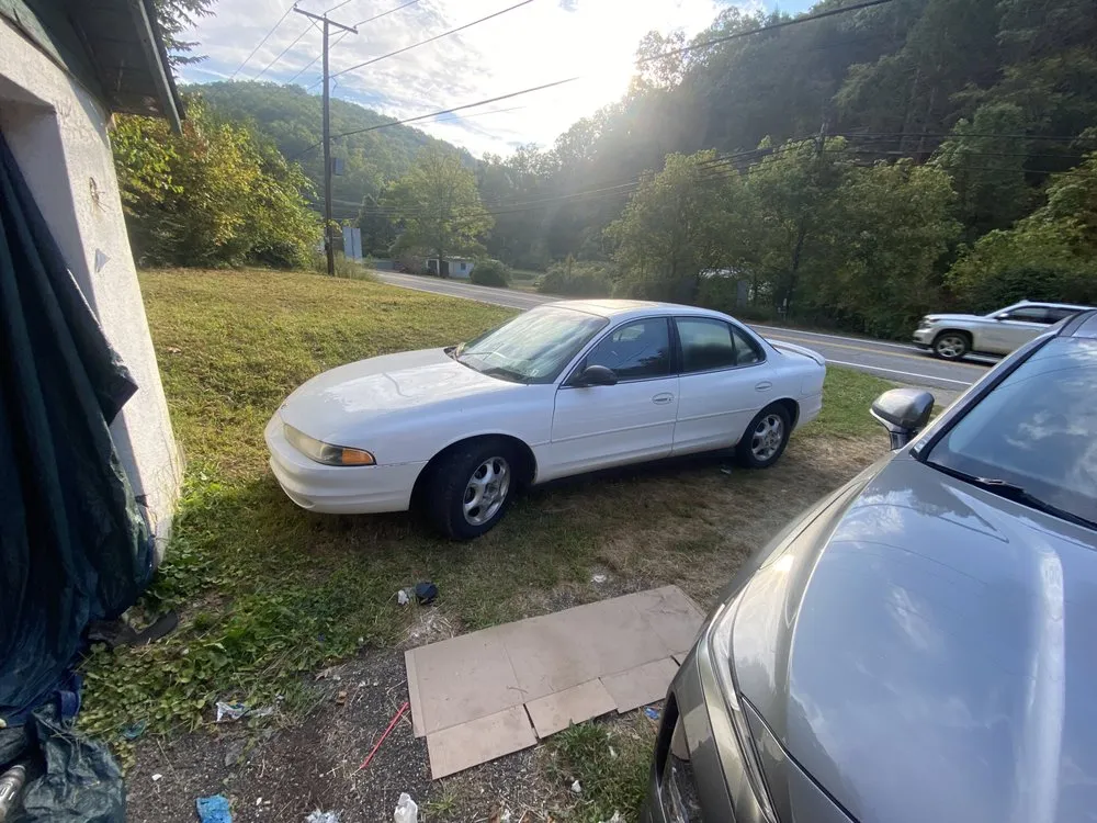 Expert lawn mowing service near you across Alum Creek, WV - Young Vision