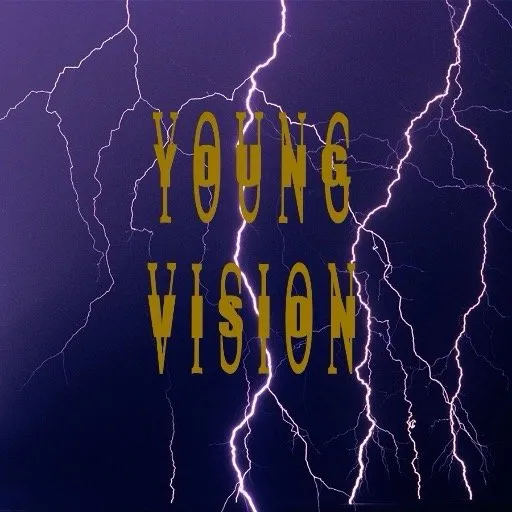 Local yard maintenance for beautiful yards in Alum Creek, WV by Young Vision