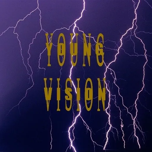 Local landscape design for outdoor upgrades in Alum Creek, WV by Young Vision