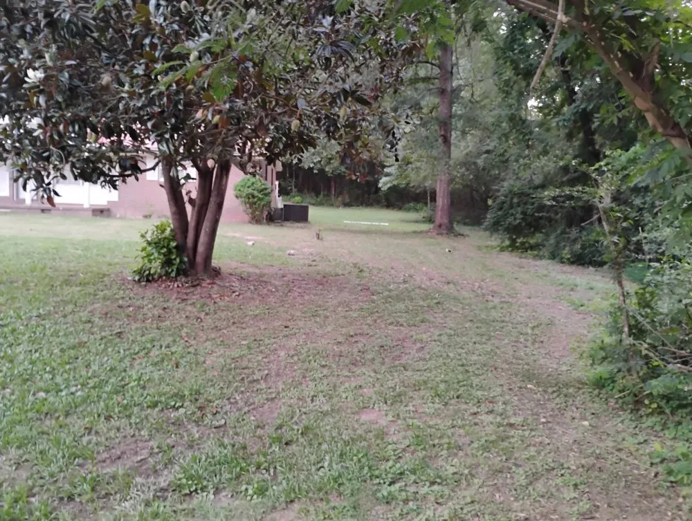 Affordable garden landscaping with custom design across Jasper, AL - Youngblood s Growth Development