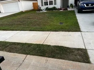 Expert landscaping services for year-round maintenance in Wilsonville, AL by Youngblood Services