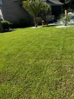 Local landscape design with custom design across Wilsonville, AL - Youngblood Services