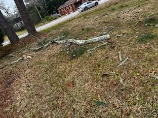 Affordable yard cleanup service in Wilsonville, AL - Youngblood Services