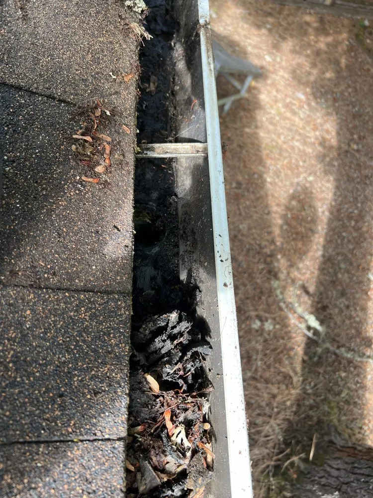 Expert residential landscaping for beautiful yards across Springfield, OR - YoungBucks Landscaping