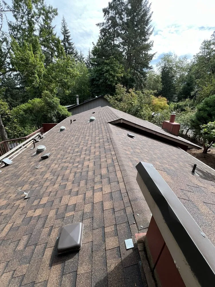 Professional outdoor landscaping experts serving Springfield, OR - YoungBucks Landscaping