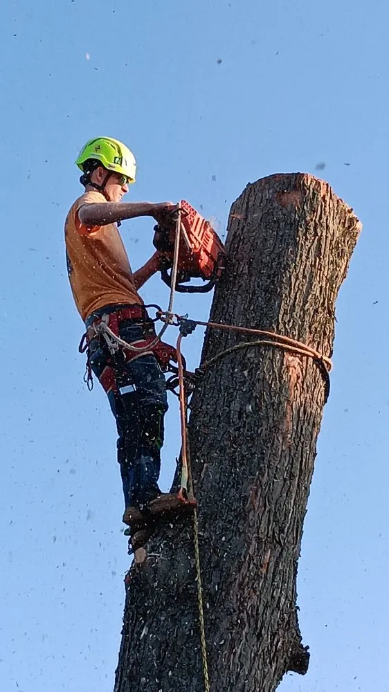 Trusted landscaping services experts serving McComb, OH - Youngguns Tree Service