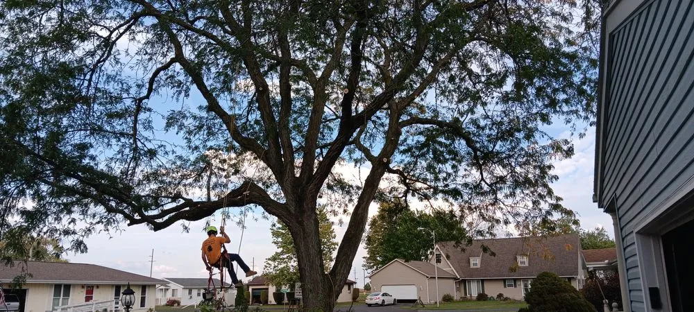 Expert landscaping services in McComb, OH - Youngguns Tree Service