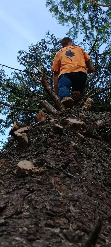 Expert landscape installation in McComb, OH by Youngguns Tree Service