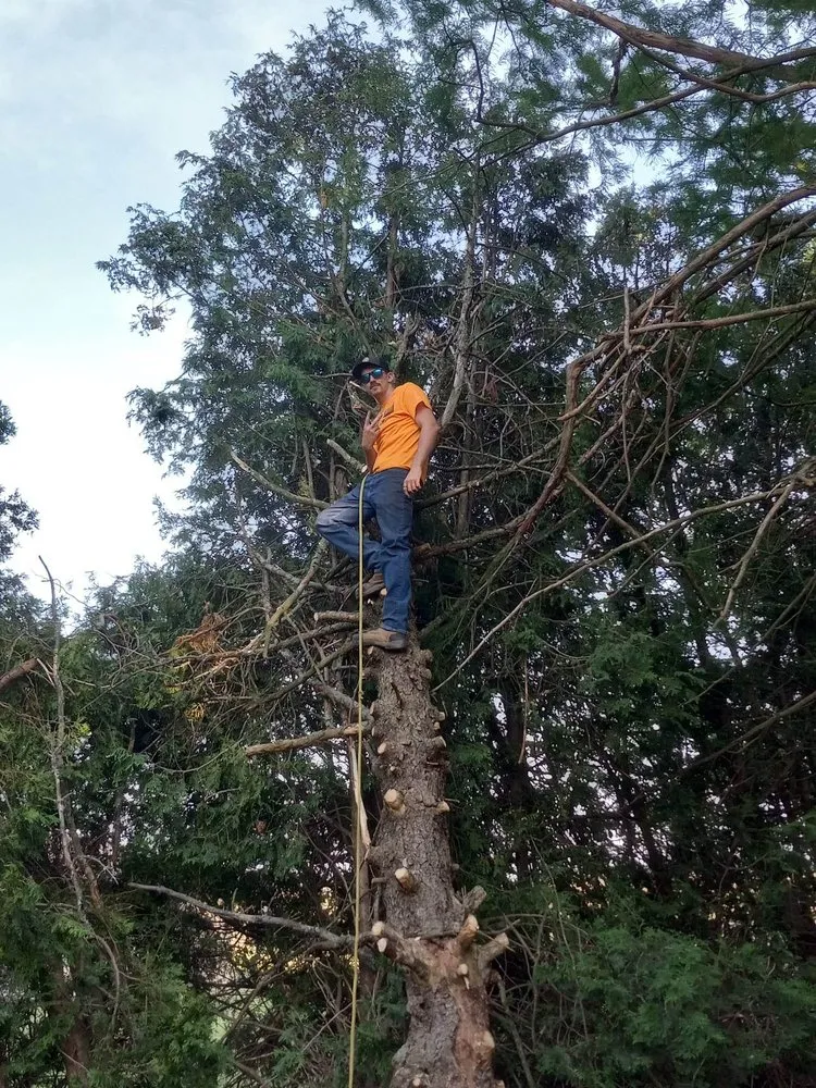 Expert residential landscaping in McComb, OH by Youngguns Tree Service