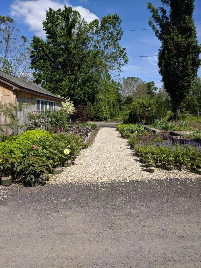 Top-rated lawn mowing service for beautiful yards in Woodbury, CT by Young's At Three Rivers