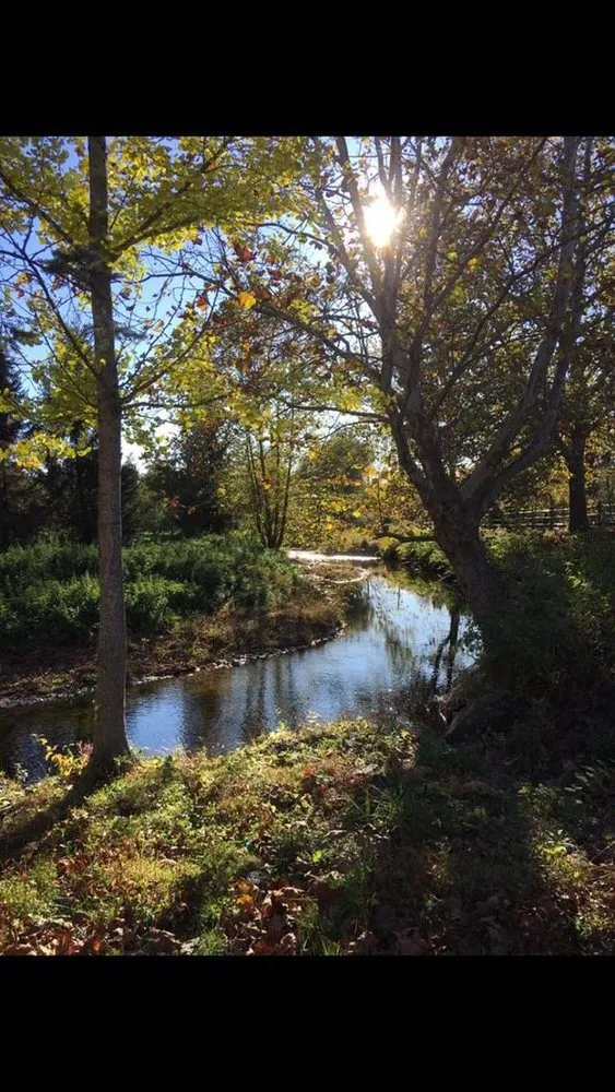 Local garden landscaping in Woodbury, CT - Young's At Three Rivers