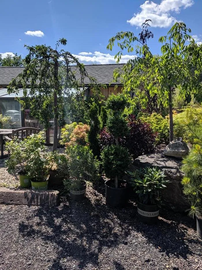 Affordable residential landscaping in Woodbury, CT by Young's At Three Rivers