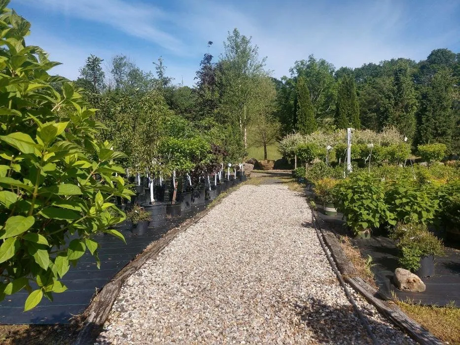 Trusted outdoor landscaping experts serving Woodbury, CT - Young's At Three Rivers