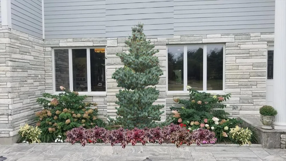 Top-rated yard cleanup service for year-round maintenance in Woodbury, CT by Young's At Three Rivers