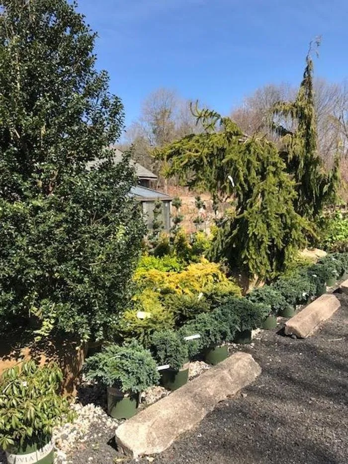 Reliable landscape installation for outdoor upgrades across Woodbury, CT - Young's At Three Rivers