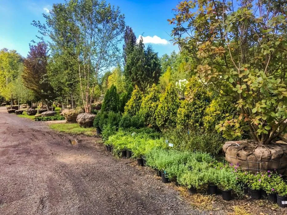 Expert outdoor landscaping in Woodbury, CT by Young's At Three Rivers