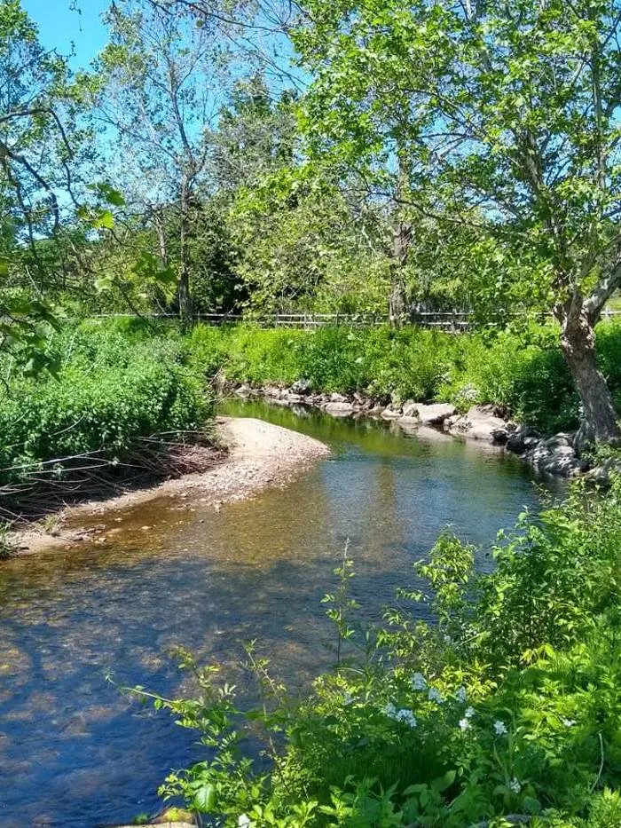 Top-rated yard cleanup service in Woodbury, CT by Young's At Three Rivers