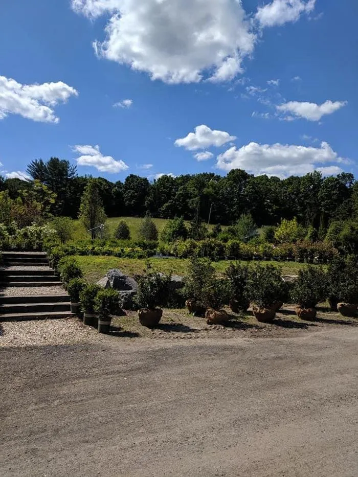 Custom landscaping services for beautiful yards in Woodbury, CT by Young's At Three Rivers