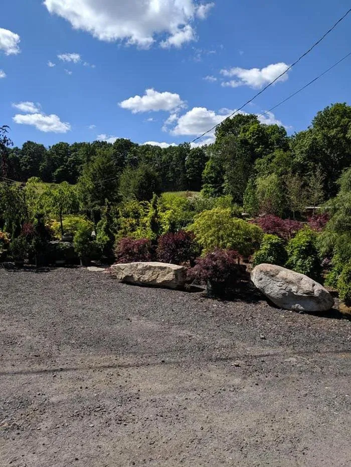 Local yard cleanup service in Woodbury, CT - Young's At Three Rivers