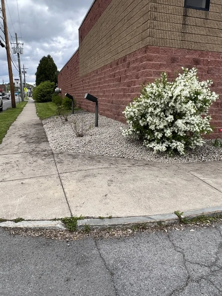 Reliable residential landscaping in Weedsport, NY - Young’s Enterprises