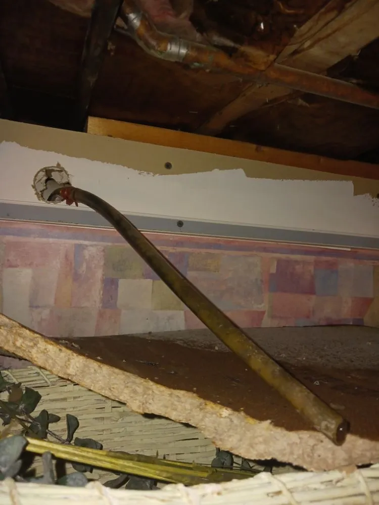 Local landscape installation in Morgantown, WV by Young's Everything Complete