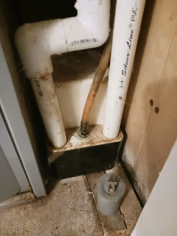 Trusted yard cleanup service in Morgantown, WV - Young's Everything Complete