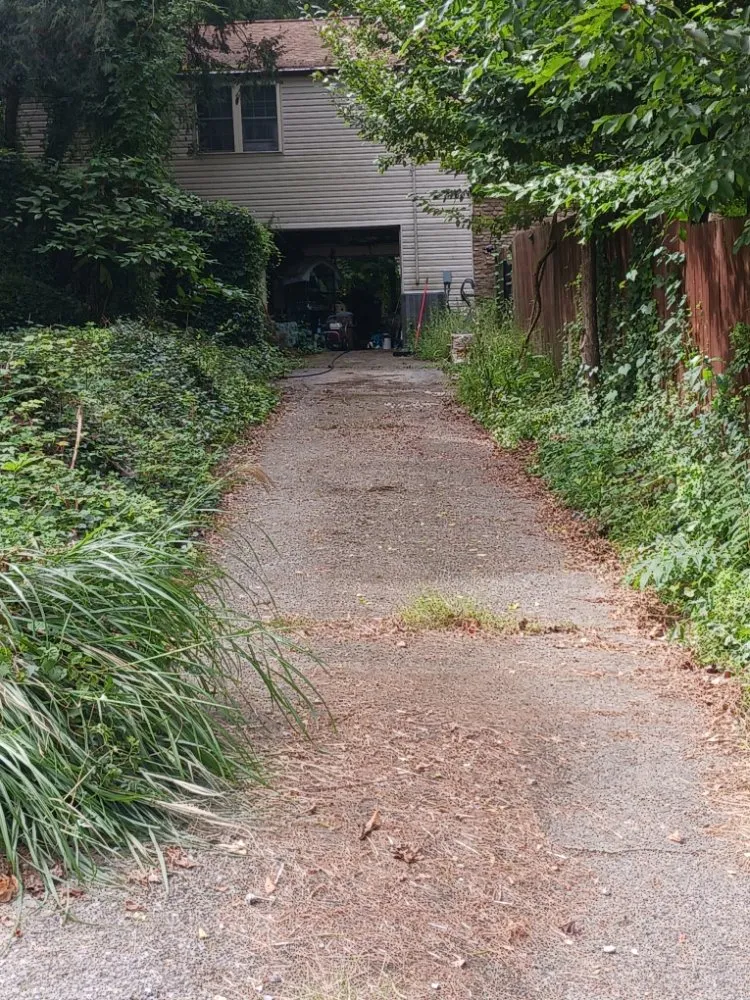 Trusted landscaping services in Morgantown, WV by Young's Everything Complete