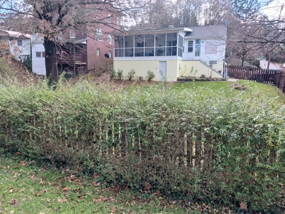 Expert yard cleanup service in Morgantown, WV by Young's Everything Complete