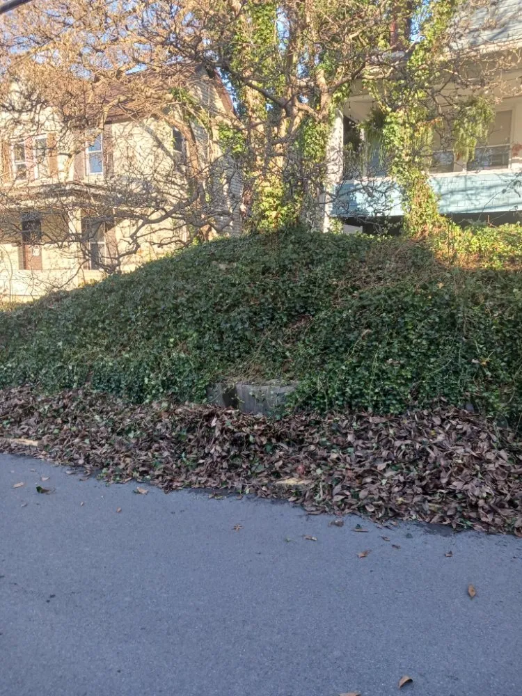 Professional landscape installation experts serving Morgantown, WV - Young's Everything Complete