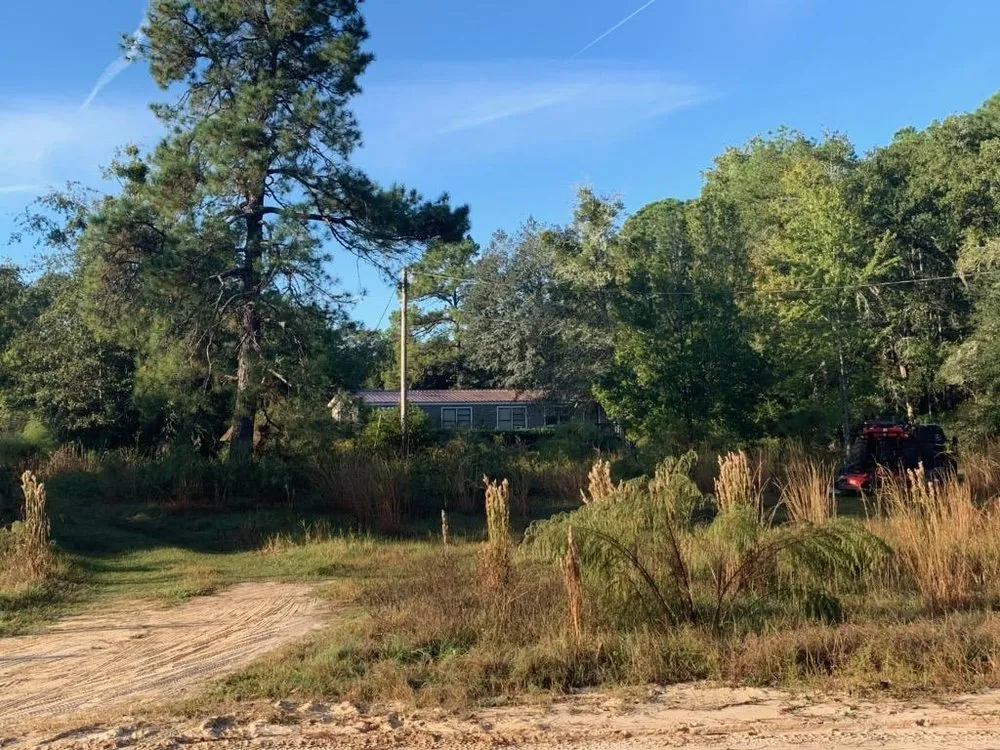 Custom landscaping services experts serving Middleburg, FL - Young's Landscape and Design