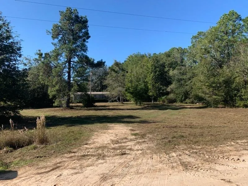 Expert outdoor landscaping near you across Middleburg, FL - Young's Landscape and Design