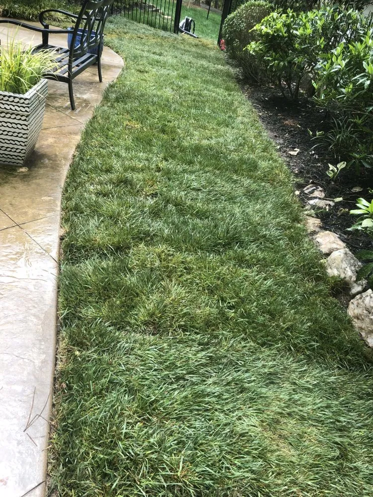 Custom residential landscaping experts serving Wake Forest, NC - Young’s Landscaping