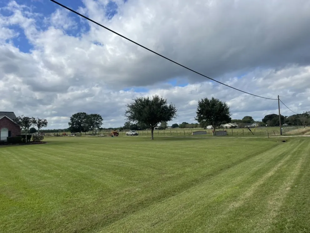 Affordable yard cleanup service experts serving Opelousas, LA - Young's Lawn And Tree Service